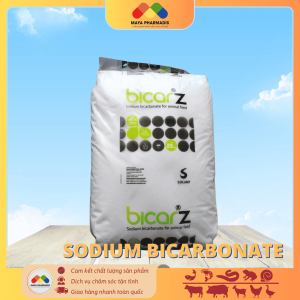 Sodium bicarbonate