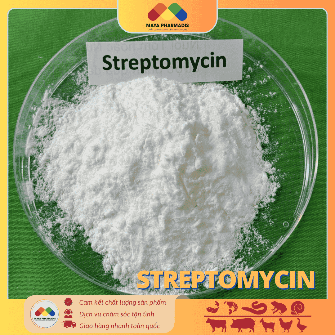 STREPTOMYCIN – KHÁNG SINH ĐẶC TRỊ NHIỄM KHUẨN THỦY SẢN VÀ CHĂN NUÔI - Ảnh 2