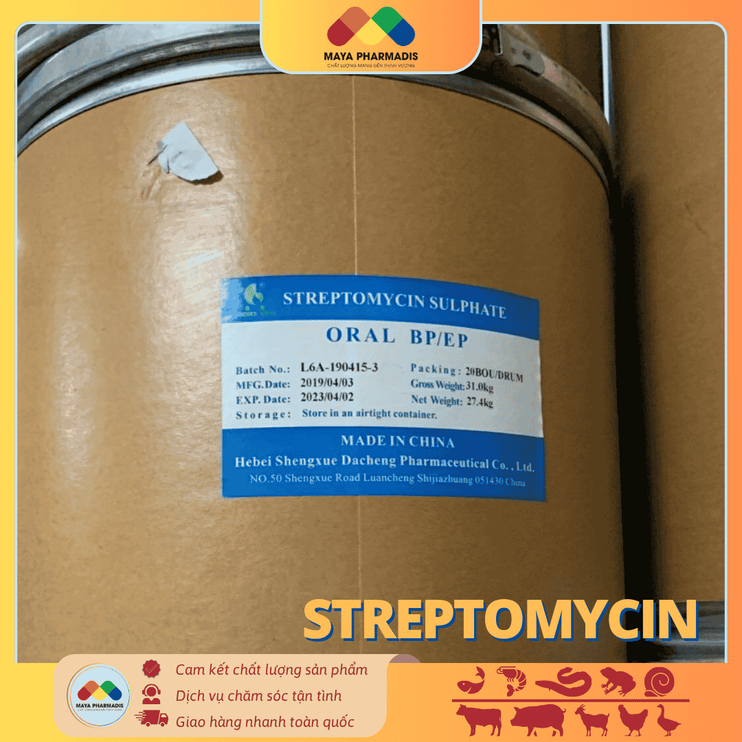 STREPTOMYCIN – KHÁNG SINH ĐẶC TRỊ NHIỄM KHUẨN THỦY SẢN VÀ CHĂN NUÔI - Ảnh 3