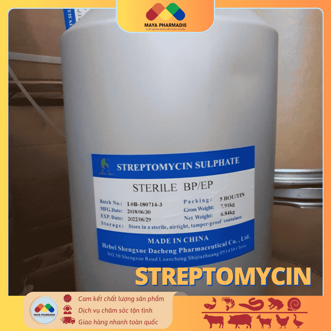 STREPTOMYCIN – KHÁNG SINH ĐẶC TRỊ NHIỄM KHUẨN THỦY SẢN VÀ CHĂN NUÔI