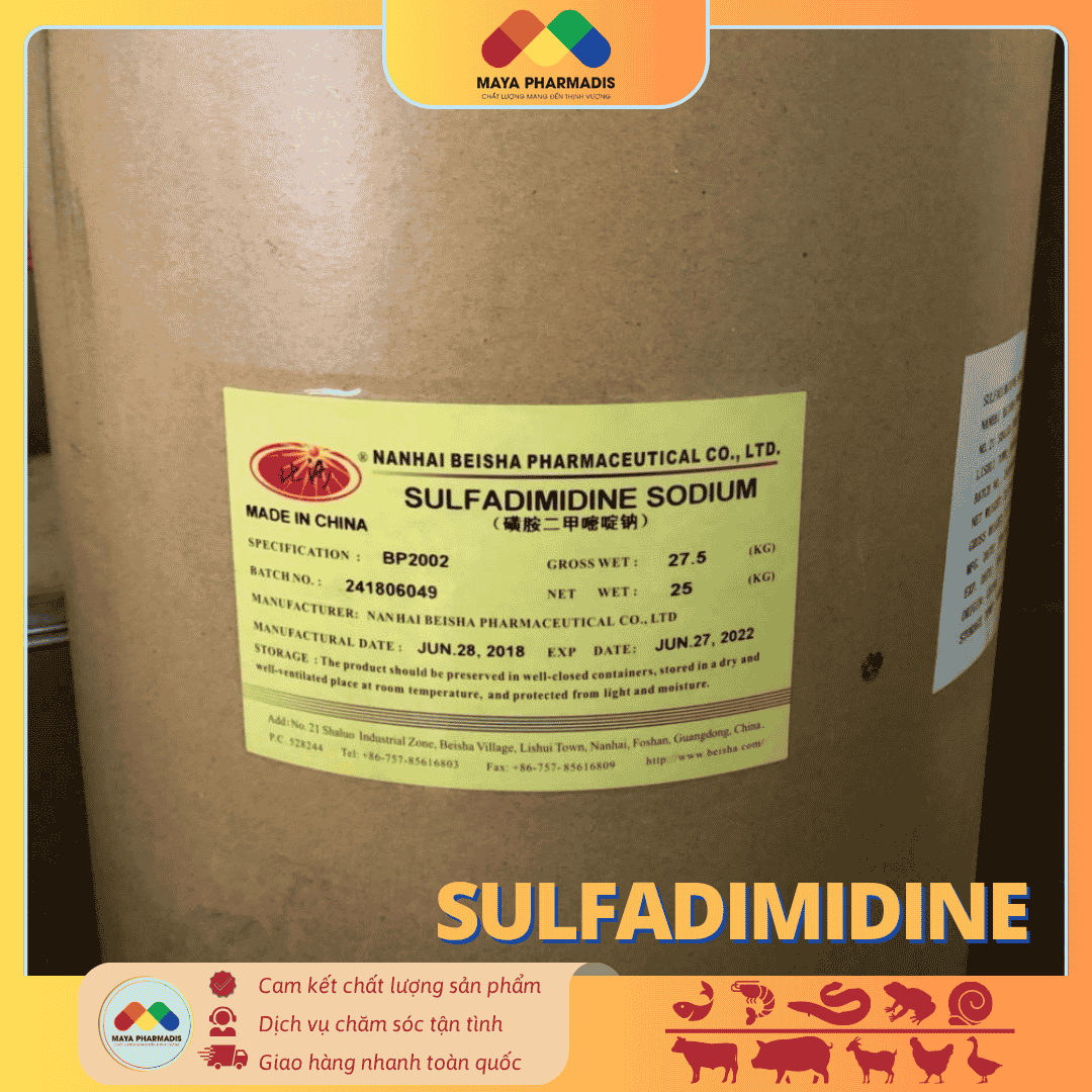 SULFADIMIDINE – KHÁNG SINH ĐẶC TRỊ NHIỄM KHUẨN