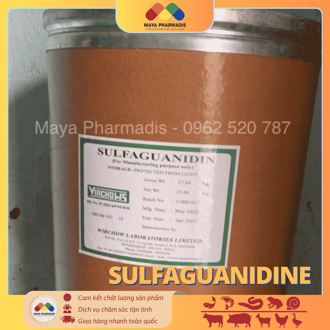 SULFAGUANIDINE – KHÁNG SINH ĐẶC TRỊ NHIỄM KHUẨN