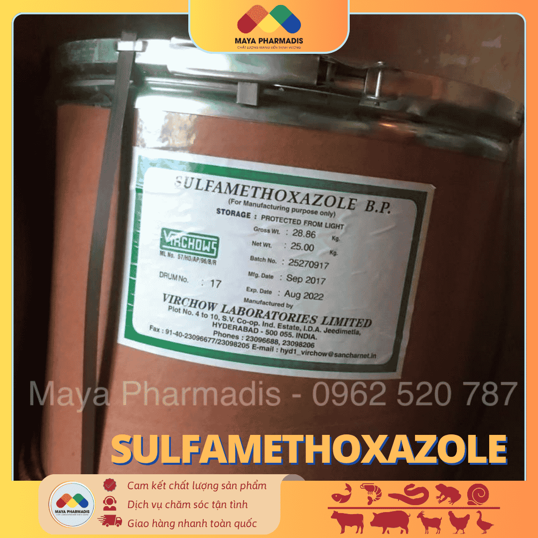 SULFAMETHOXAZOLE – KHÁNG SINH ĐẶC TRỊ NHIỄM KHUẨN