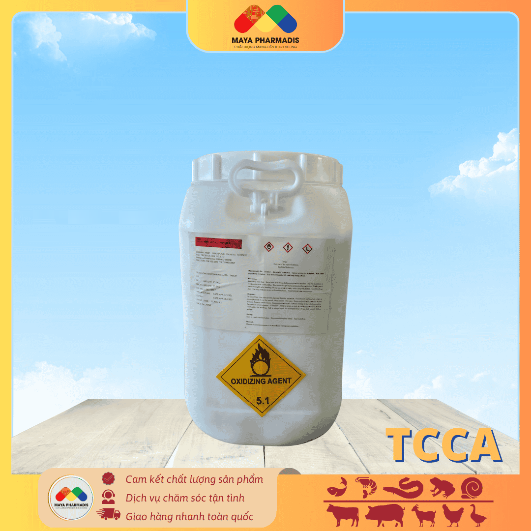 TCCA
