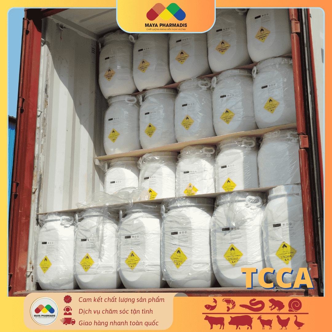TCCA Trichloroisocyanuric xô Acid Trung Quốc diệt khuẩn, xử lý nước - Ảnh 3