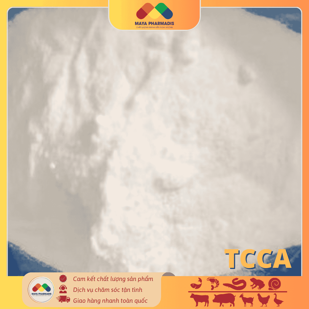 TCCA Trichloroisocyanuric xô Acid Trung Quốc diệt khuẩn, xử lý nước - Ảnh 2