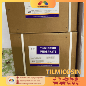 TILMICOSIN