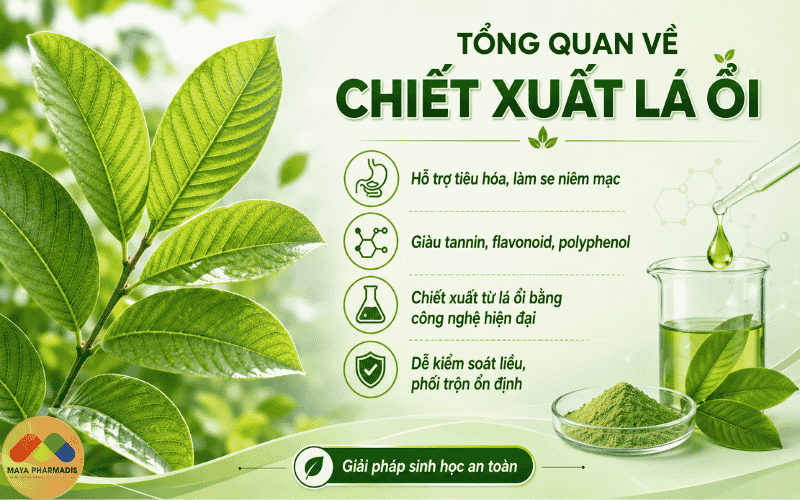 Tổng quan về chiết xuất