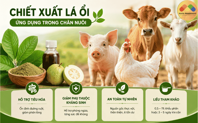 Ứng dụng trong chăn nuôi
