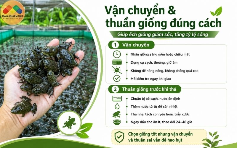 Vận chuyển và giao nhận đúng cách