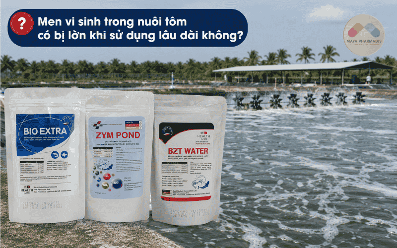 Men vi sinh trong nuôi tôm có bị lờn khi sử dụng lâu dài không?