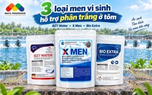 3 Loại men vi sinh hỗ trợ phân trắng