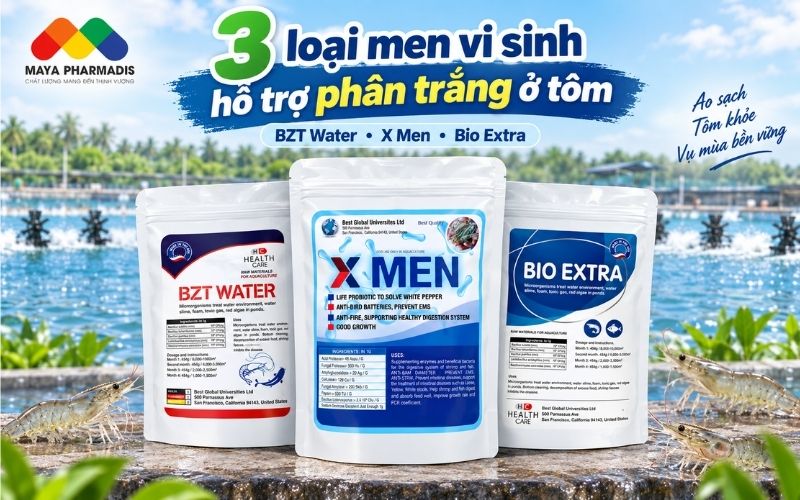 3 Loại men vi sinh hỗ trợ phân trắng