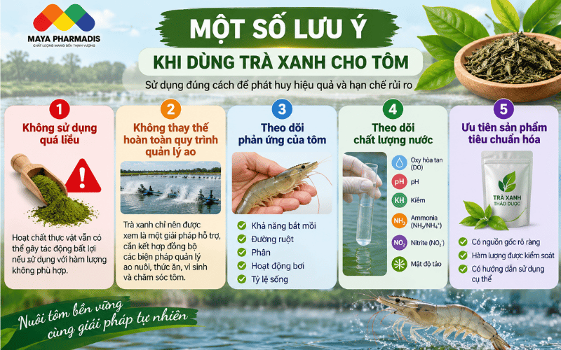 Lưu ý khi dùng trà xanh