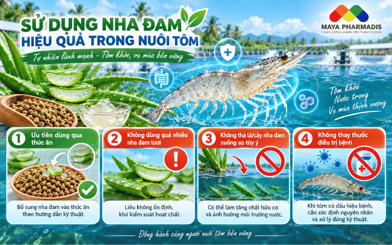 Cách sử dụng của nha đam