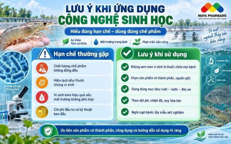Các lưu ý