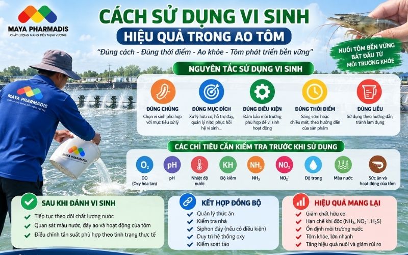 Cách Sử Dụng Vi Sinh Hiệu Quả Trong Ao Tôm