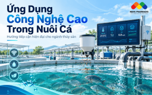 Ứng dụng công nghệ cao trong nuôi cá hiện đại