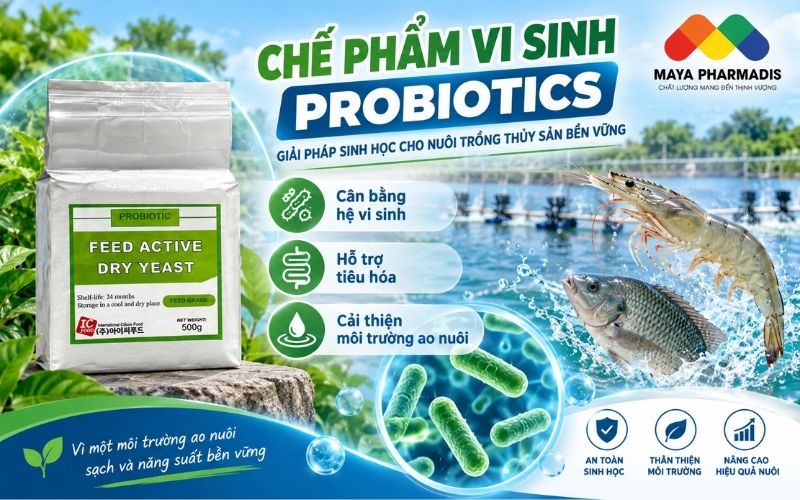 Sử dụng vi sinh probiotic