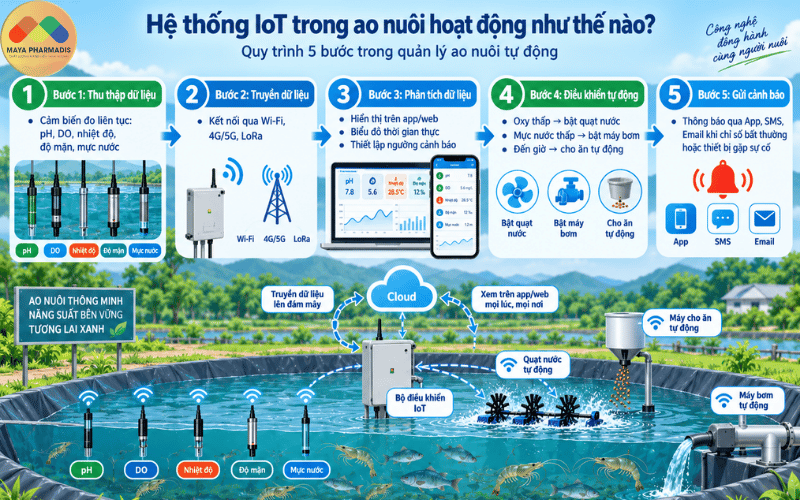 Hệ thống IoT trong ao nuôi hoạt động như thế nào?