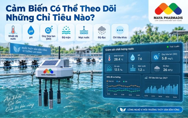 Cảm Biến Có Thể Theo Dõi Những Chỉ Tiêu Nào