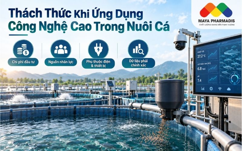Thách Thức Khi Ứng Dụng Công Nghệ Cao