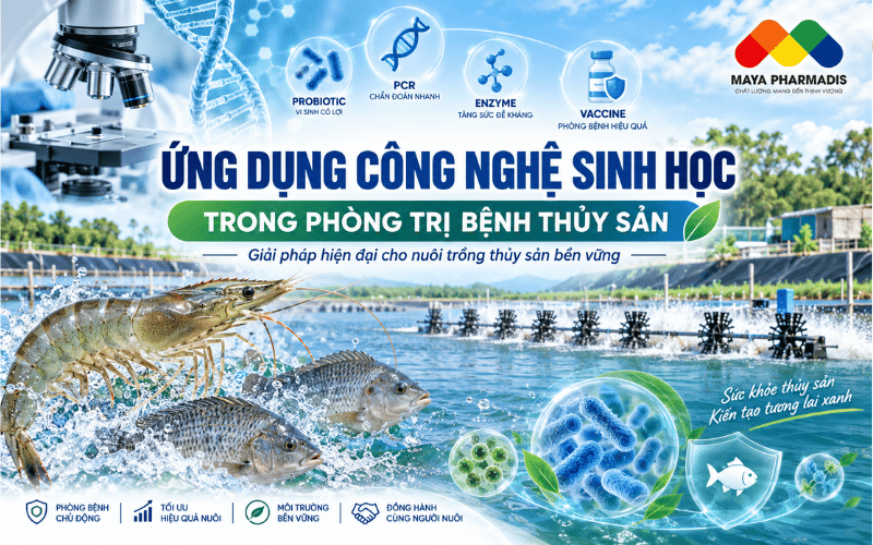 ỨNG DỤNG CÔNG NGHỆ SINH HỌC