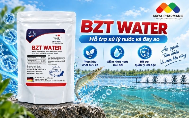 BZT WATER