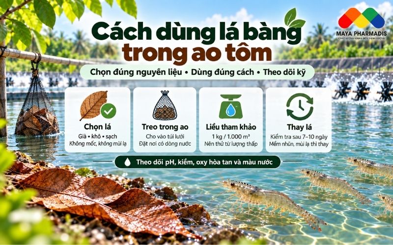 Cách lựa chọn nguyên liệu trước khi sử dụng