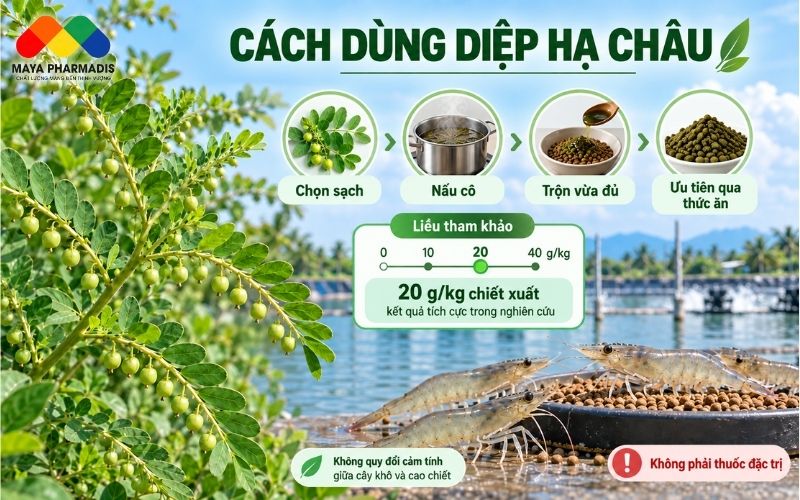 Cách chuẩn bị nguyên liệu truyền thống