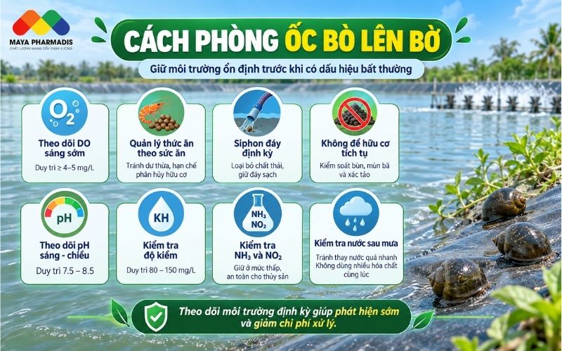 Cách phòng ốc bò lên bờ