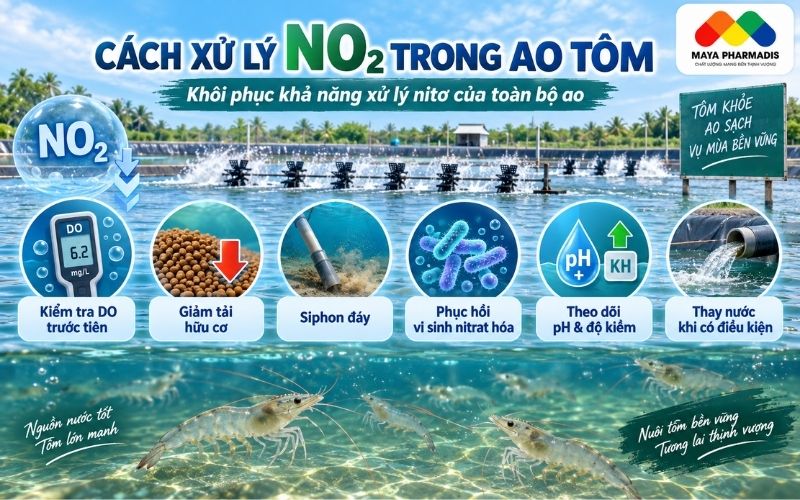 Cách xử lý NO₂