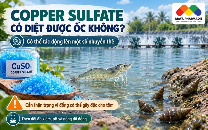 Đồng có diệt được ốc