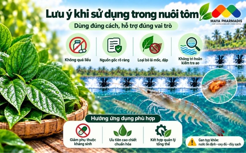 Lưu ý khi sử dụng trong nuôi tôm