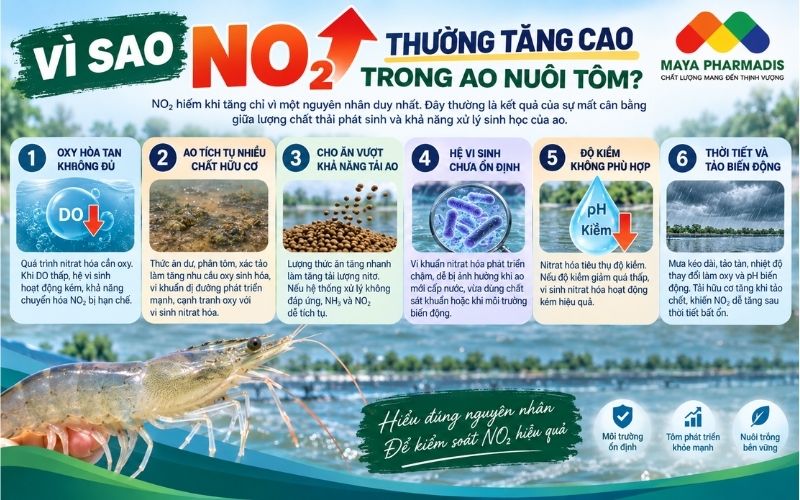 Nguyên nhân NO₂ tăng cao