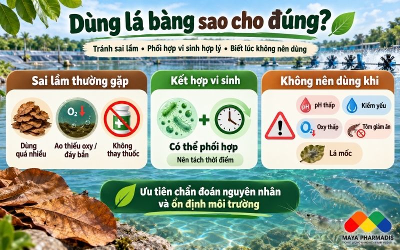 Những sai lầm thường gặp