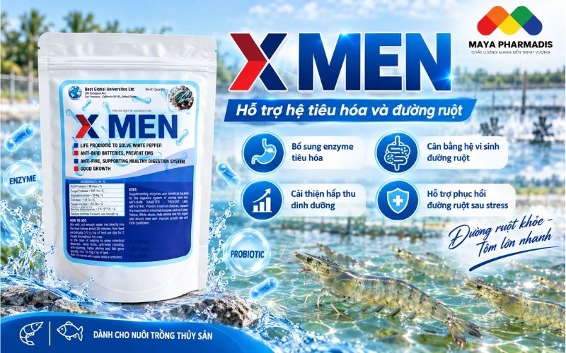 X-MEN