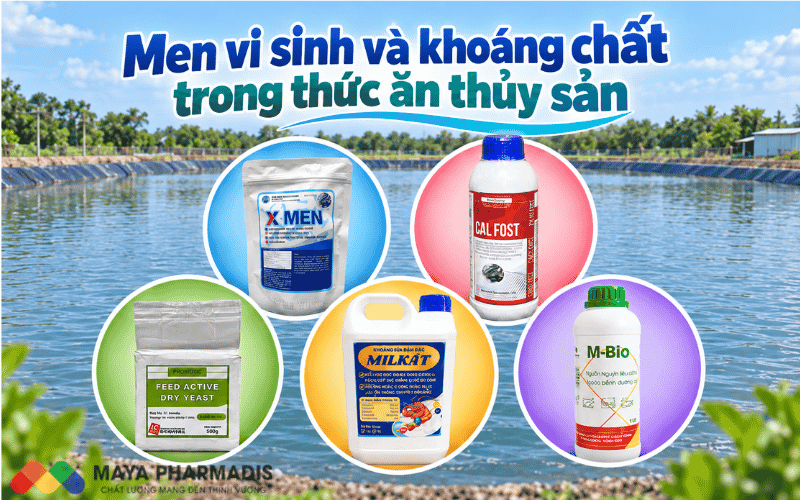 Men vi sinh và khoáng chất trong thức ăn thủy sản