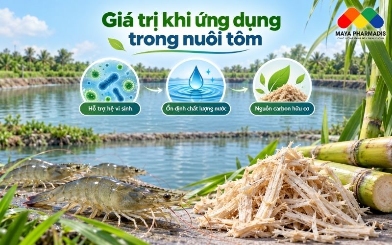 Giá Trị Khi Ứng Dụng Trong Nuôi Tôm