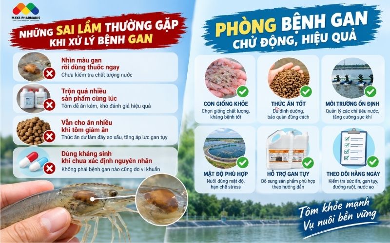 Những sai lầm thường gặp khi xử lý bệnh gan