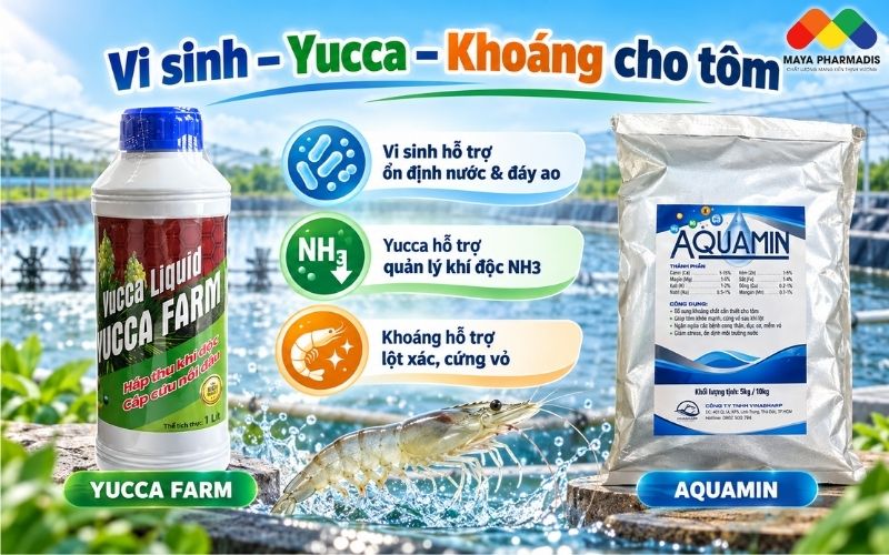 Vi sinh trong nuôi tôm