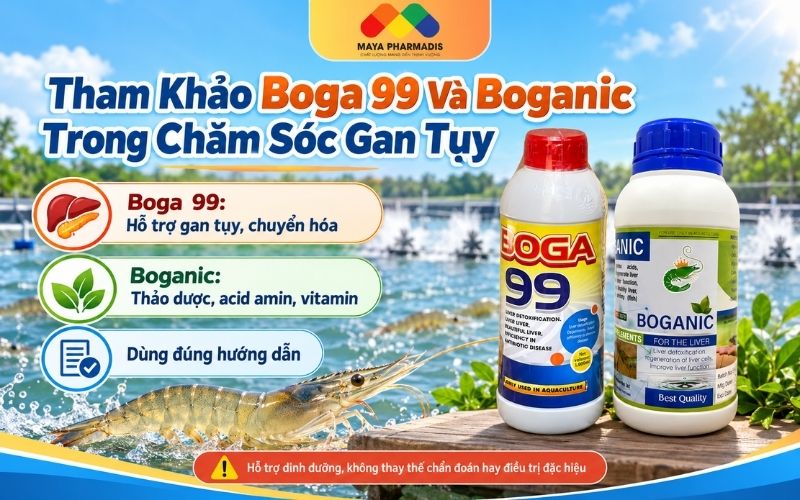 Tham Khảo Boga 99 Và Boganic Trong Chăm Sóc Gan Tụy