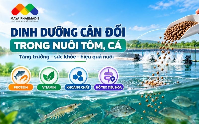 Dinh dưỡng tôm cá và cân đối dinh dưỡng