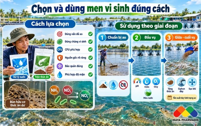 Cách lựa chọn men vi sinh phù hợp