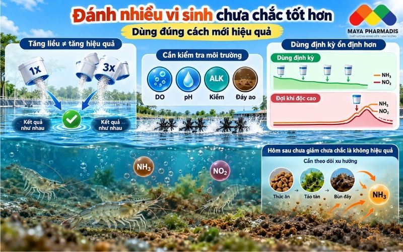 Đánh nhiều vi sinh hơn chưa chắc tốt hơn