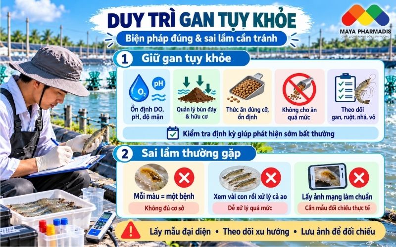Biện pháp duy trì gan tụy khỏe trong suốt vụ nuôi