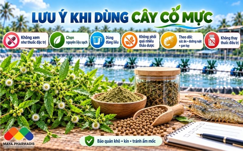 Những sai lầm thường gặp khi sử dụng