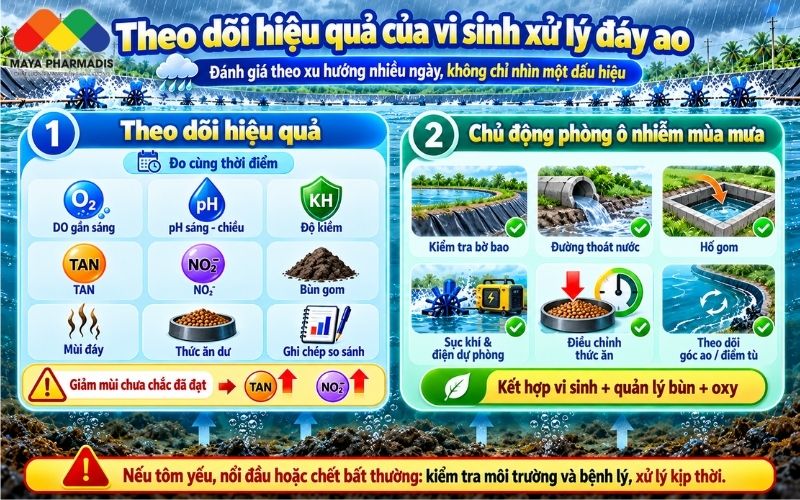 Theo dõi hiệu quả của vi sinh xử lý đáy ao