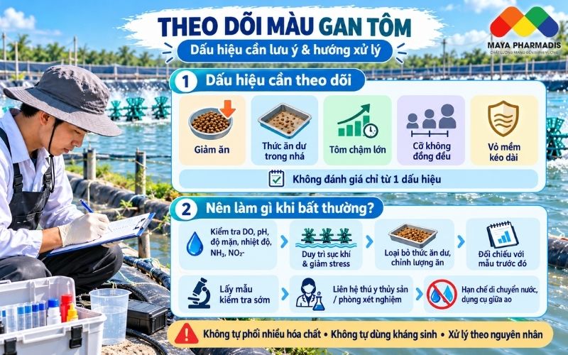 Dấu hiệu cần theo dõi cùng màu gan