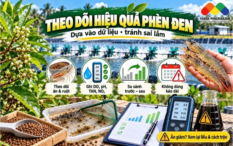 Theo dõi hiệu quả như thế nào?